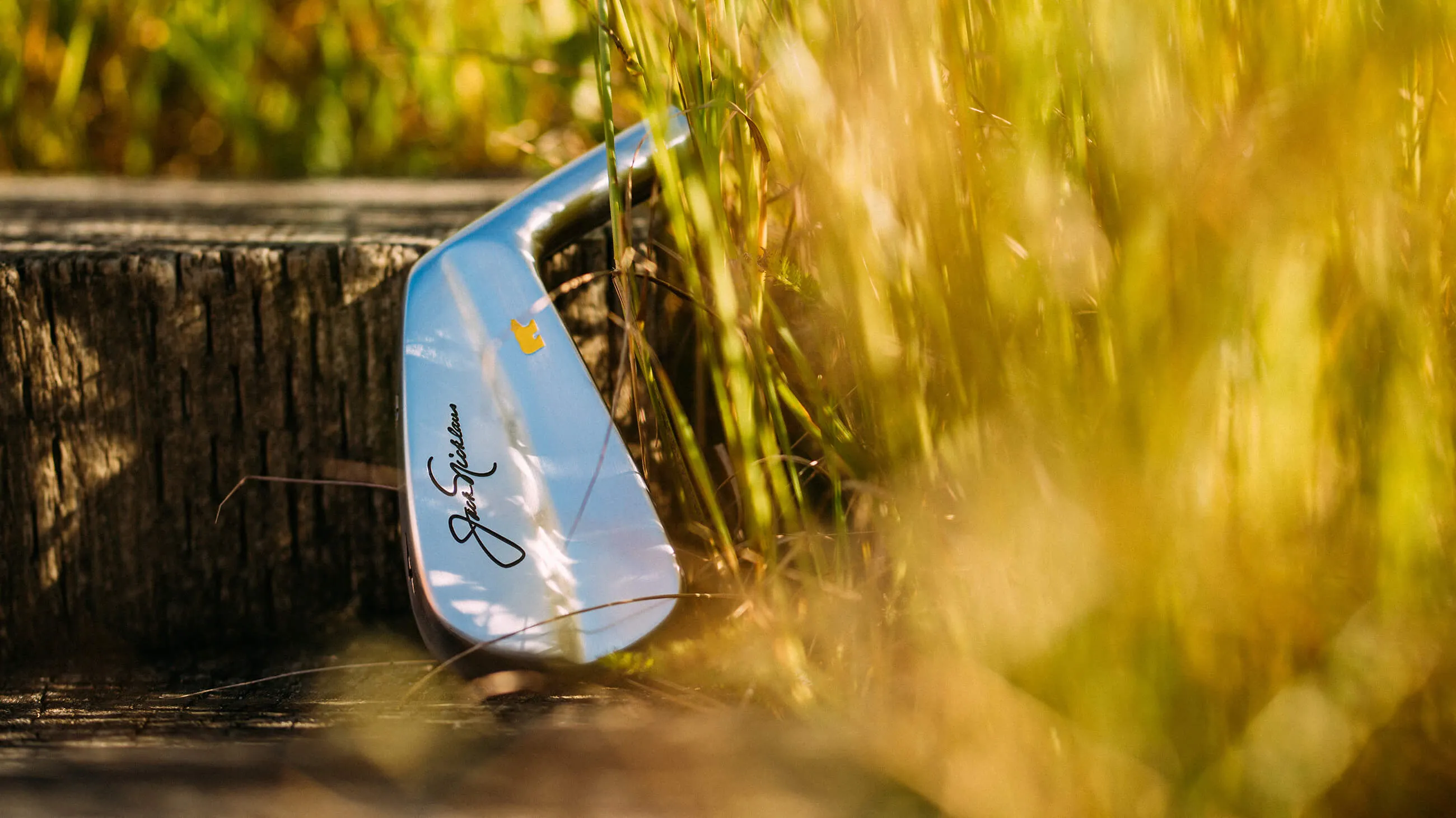 A single iron in the grass